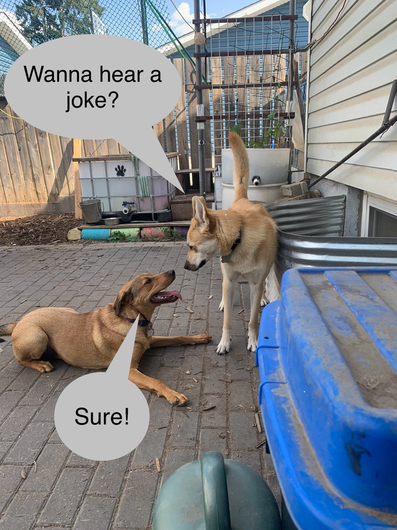 Submitted by Jane H.