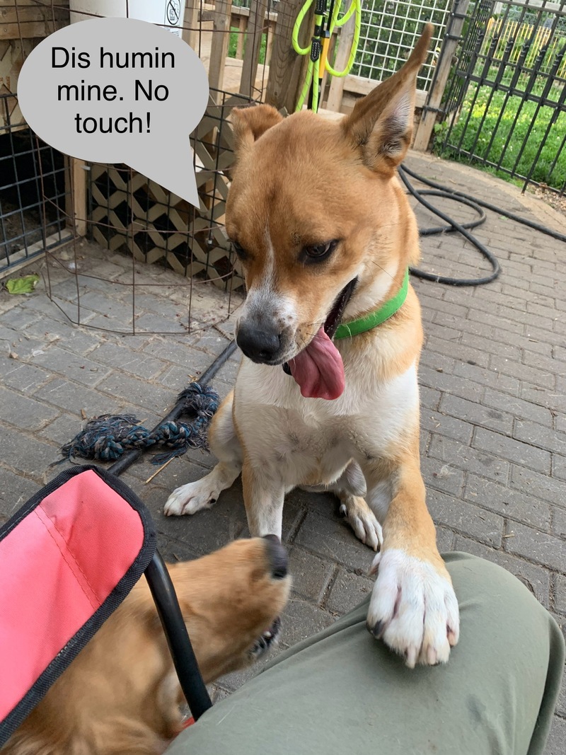 Submitted by Jane H.