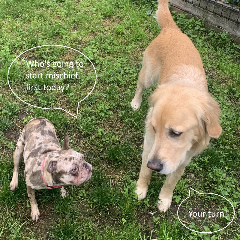 Submitted by Jane H.