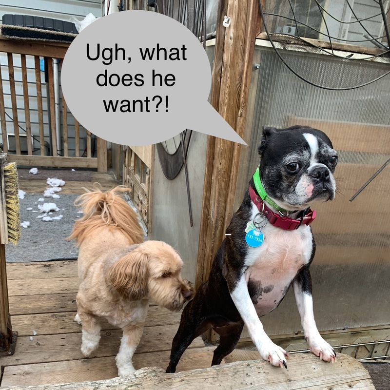 Submitted by Jane H.